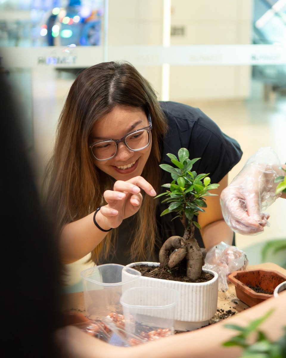 An inviting bedroom corner with natural elements, promoting relaxation.